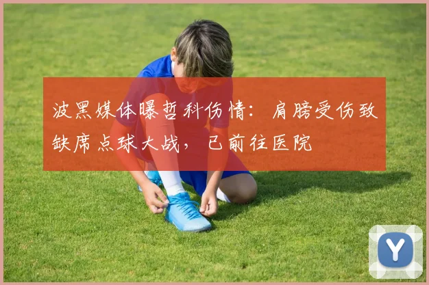 波黑媒体曝哲科伤情:肩膀受伤致缺席点球大战,已前往医院