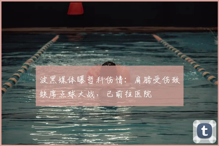 波黑媒体曝哲科伤情：肩膀受伤致缺席点球大战，已前往医院